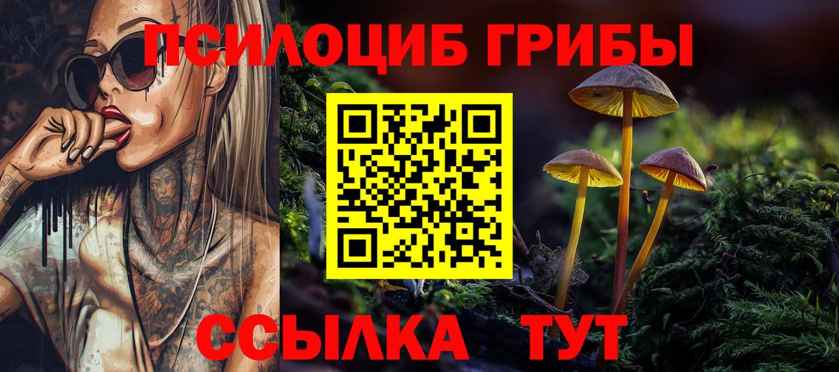 Димитровград  Псилоцибиновые грибы прущие грибы  Галлюциногенные грибы ЛСД  Вход с VPN 